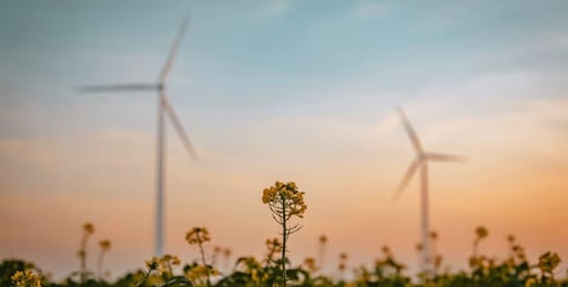 webimage-CTC-Windmills